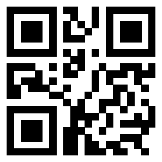 Il Qr Code di 3304963779