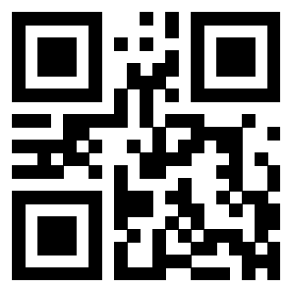 QrCode di 3304963817