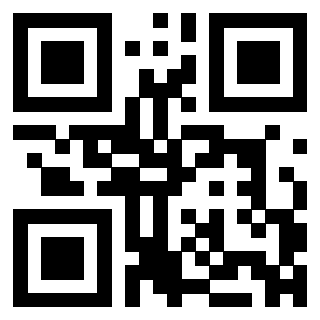 Il Qr Code di 3304963829