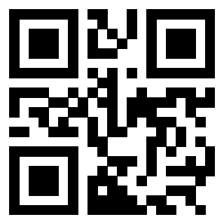 QrCode di 3304963867