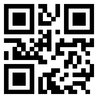QrCode di 3304963886