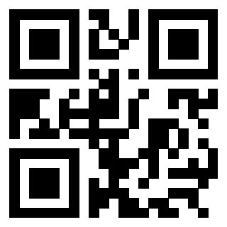 3304963925 - Immagine del QrCode