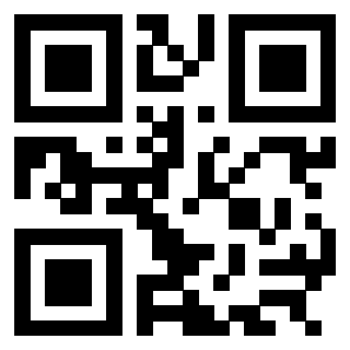 QrCode di 3304964013