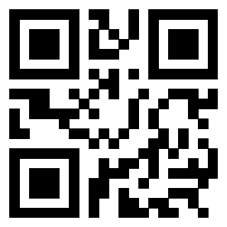 3304964065 - Immagine del QrCode
