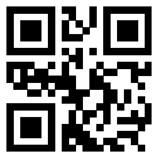 QrCode di 3304964235