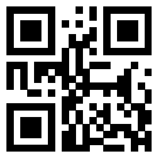 QrCode di 3304964409