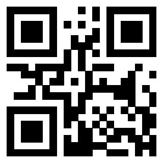 QrCode di 3304968498
