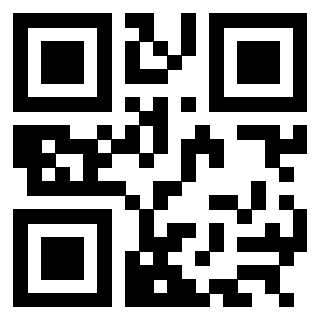 3304968513 - Immagine del QrCode
