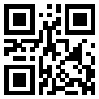 QrCode di 3304968514