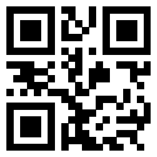 QrCode di 3304968598