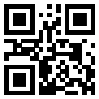 QrCode di 3304968671