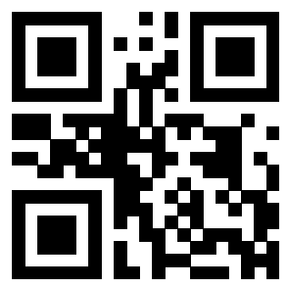 3304968691 - Immagine del QrCode