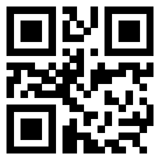 3304968833 - Immagine del QrCode