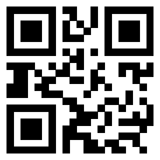 3304968991 - Immagine del QrCode