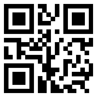QrCode di 3304969027