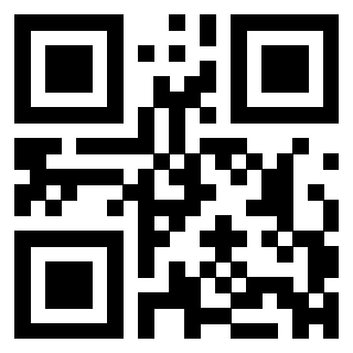QrCode di 3304969032