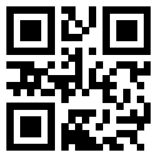 3304969053 QrCode associato