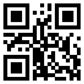 3304969056 - Immagine del QrCode