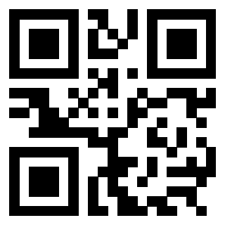 3304969213 Qr Code associato