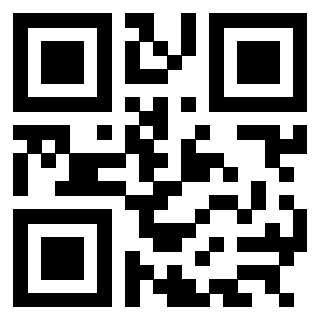 QrCode di 3304969310