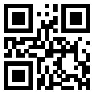 3304995046 - Immagine del Qr Code