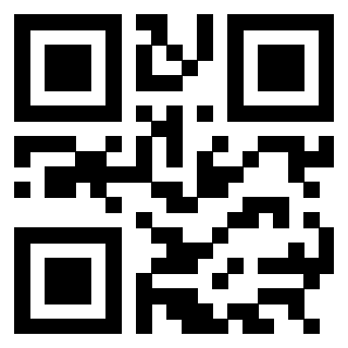 3304995080 QrCode associato