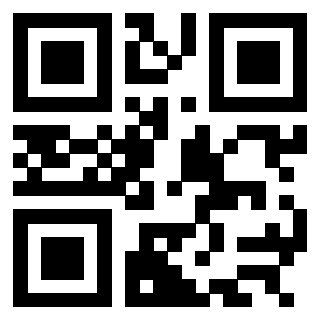 3304995109 - Immagine del Qr Code associato