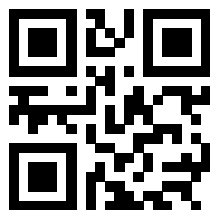 3304995119 QrCode associato