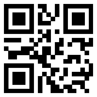 3304995133 QrCode associato