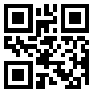 3304995196 Qr Code associato