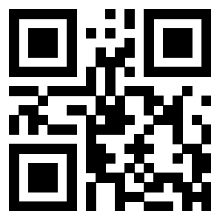 3304995282 Qr Code associato