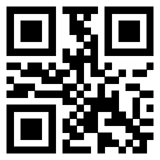 QrCode di 3304995295