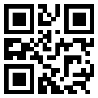 Il Qr Code di 3304995297