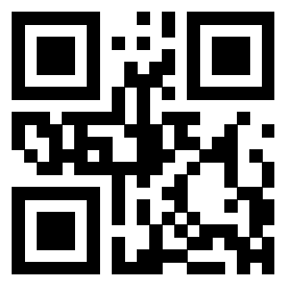 QrCode di 3304995336