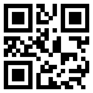 Il Qr Code di 3304995456