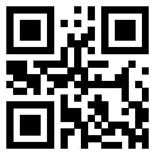 3304995493 - Immagine del QrCode