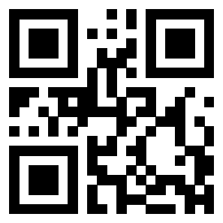 3304995596 Qr Code associato