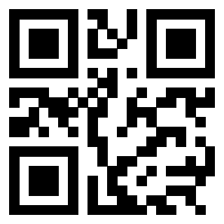 Il Qr Code di 3304995604