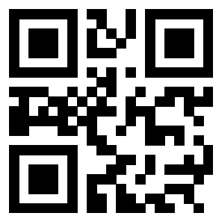 3304995613 - Immagine del QrCode