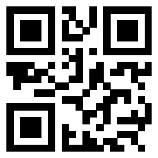 3304995735 - Immagine del QrCode associato