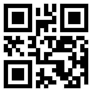 QrCode di 3304995767