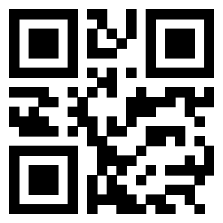 Il Qr Code di 3304995830