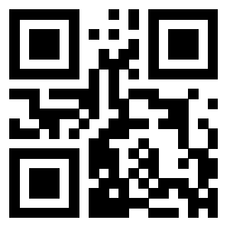 3304995891 Qr Code associato