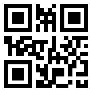 3304995892 Qr Code associato