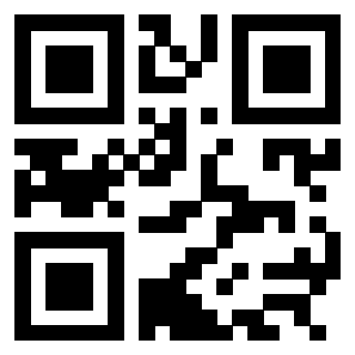 Il Qr Code di 3304995908
