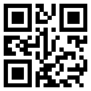3304995919 - Immagine del Qr Code associato