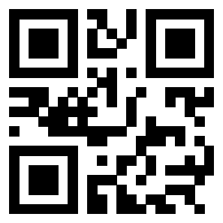 Il Qr Code di 3304995929