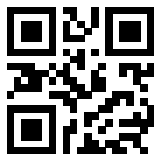 QrCode di 3304995934