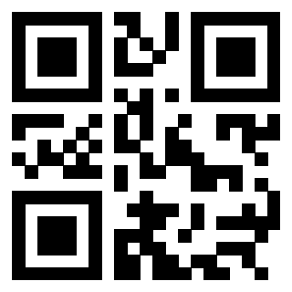 Il Qr Code di 3304995983