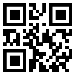 3305028102 QrCode associato
